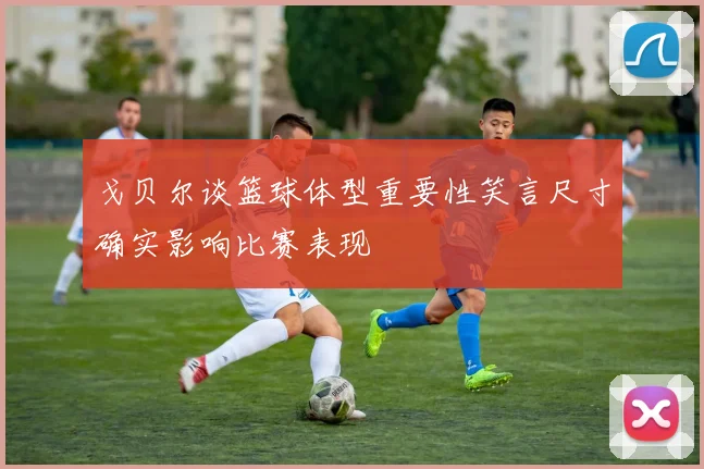 戈贝尔谈篮球体型重要性笑言尺寸确实影响比赛表现